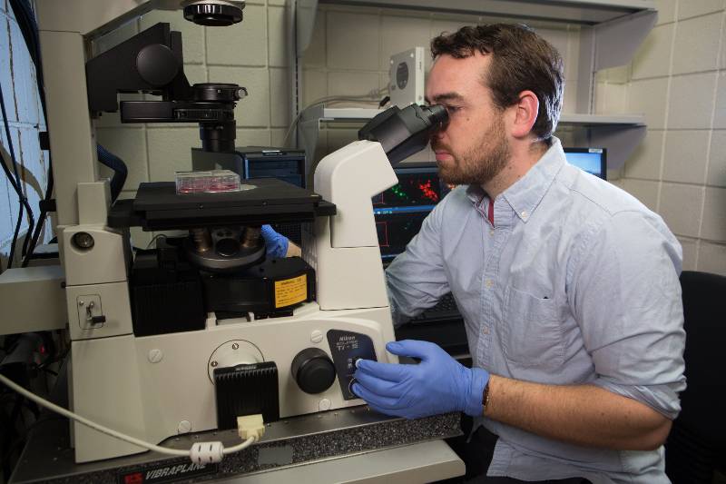 Student Looking into Microscope